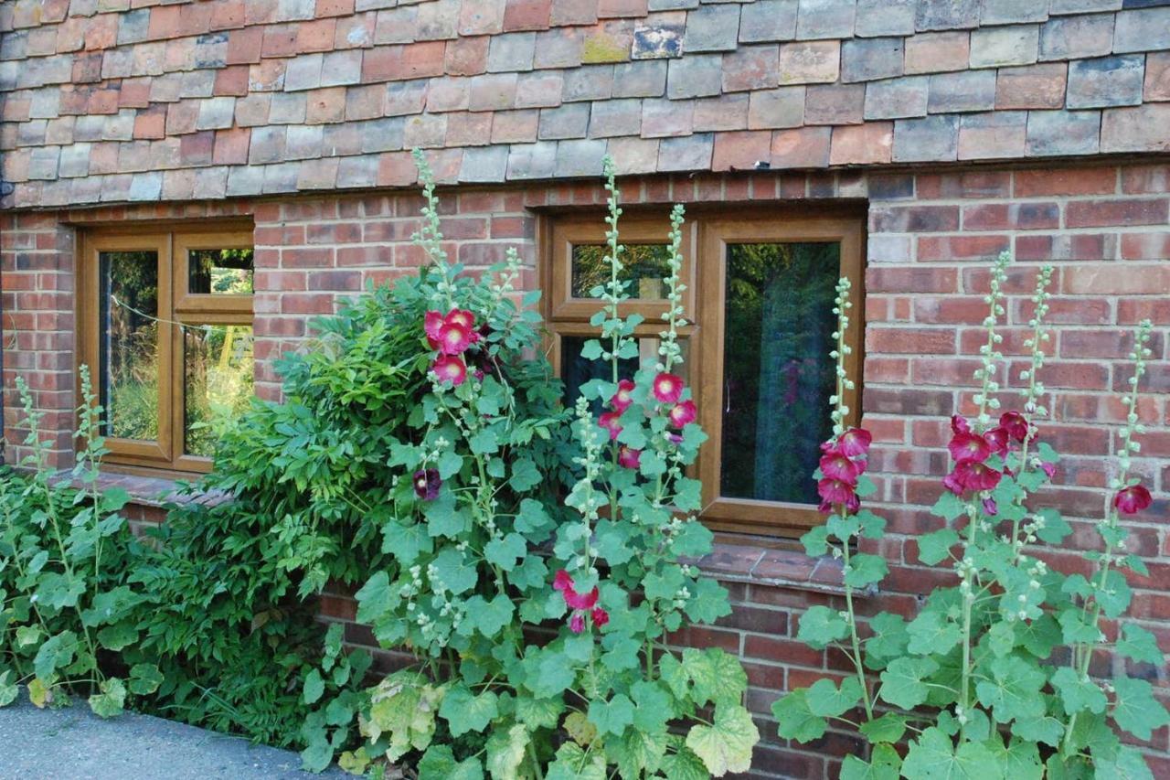 Hollyhock Cottage Ashford  Extérieur photo