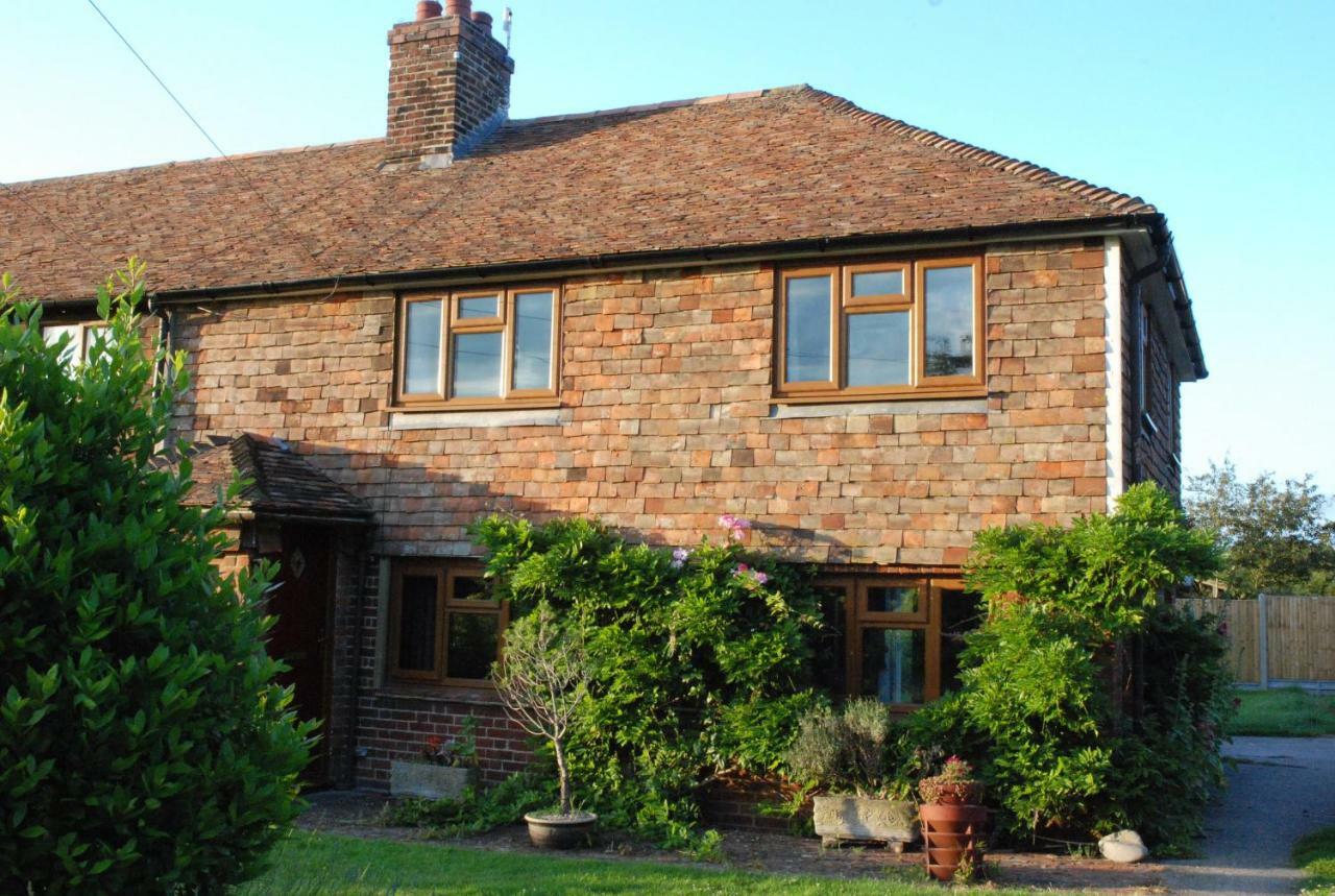 Hollyhock Cottage Ashford  Extérieur photo
